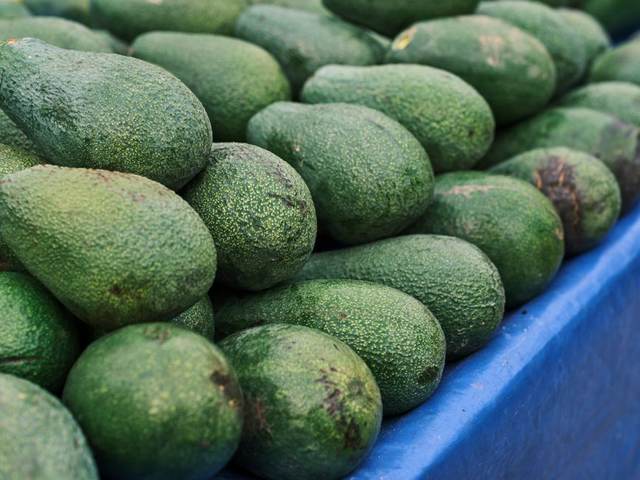 Avocados